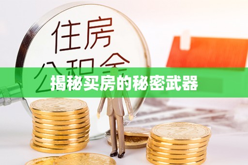 固阳揭秘买房的秘密武器