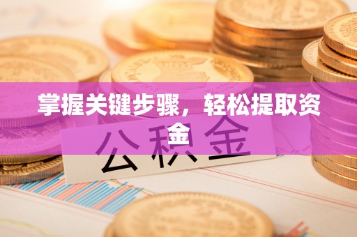 固阳掌握关键步骤，轻松提取资金
