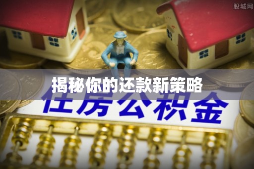 固阳揭秘你的还款新策略