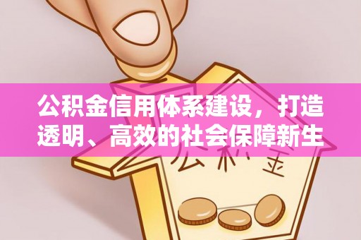 固阳公积金信用体系建设，打造透明、高效的社会保障新生态