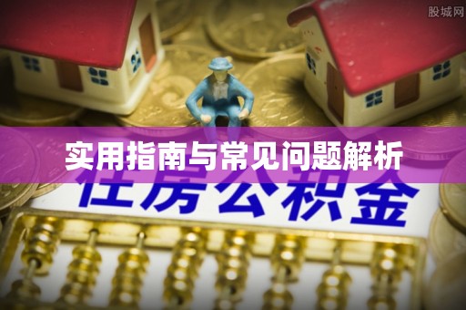 固阳实用指南与常见问题解析