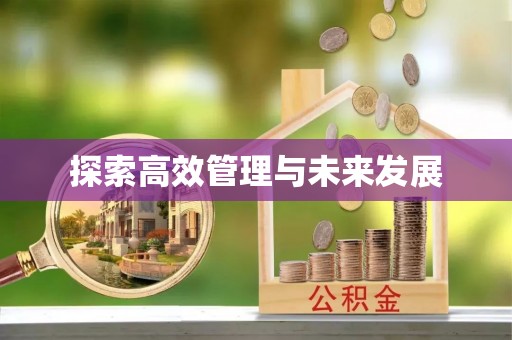 固阳探索高效管理与未来发展