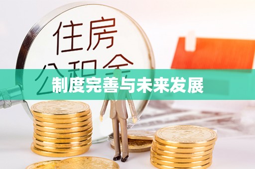 固阳制度完善与未来发展