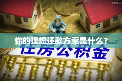 固阳你的理想还款方案是什么？
