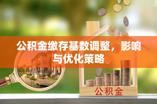 固阳公积金缴存基数调整，影响与优化策略