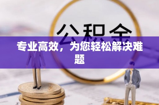 固阳专业高效，为您轻松解决难题