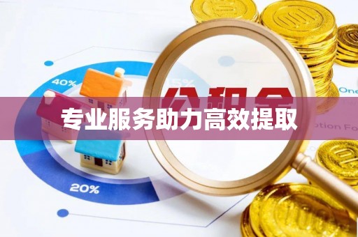 固阳专业服务助力高效提取