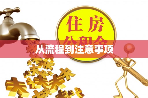 固阳从流程到注意事项