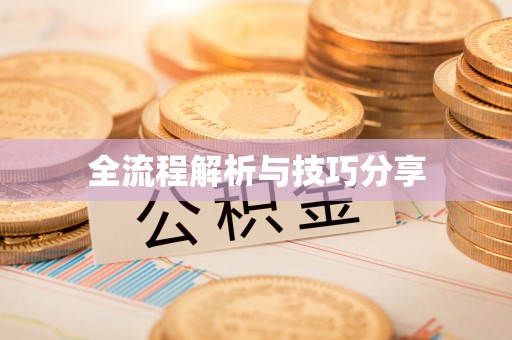 固阳全流程解析与技巧分享